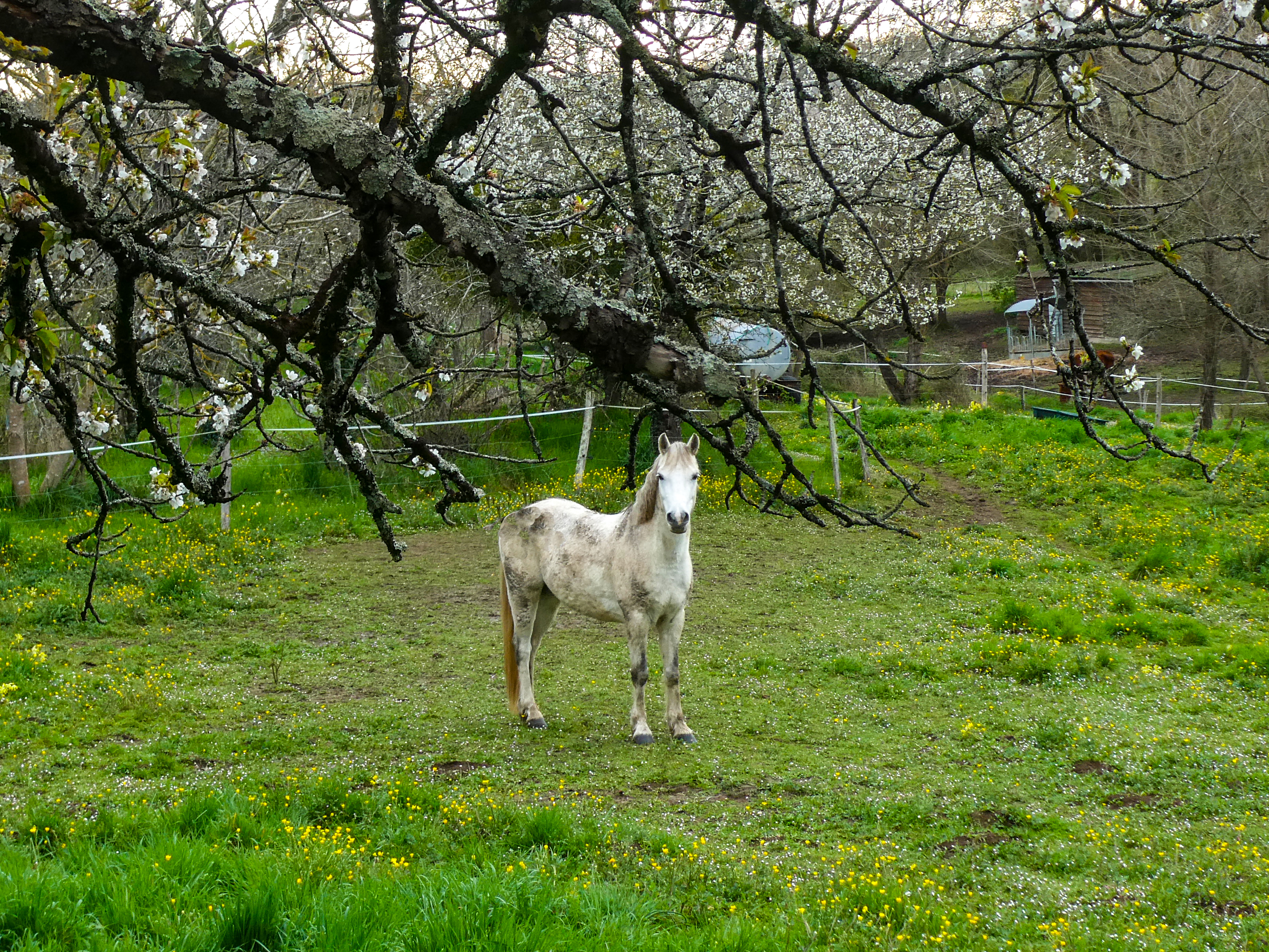 2025-04-03-Garat-1-
