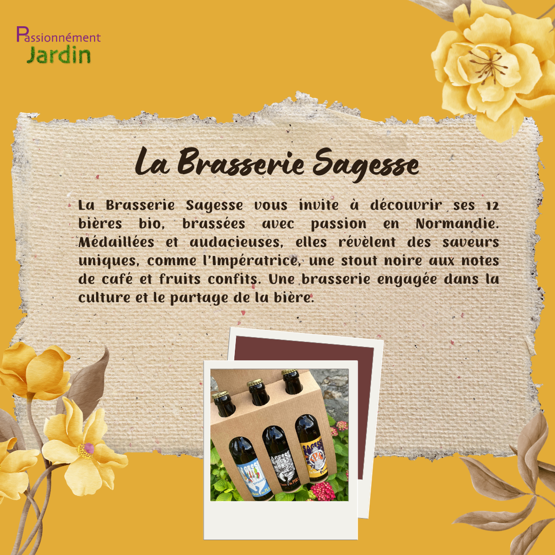 La-Brasserie-Sagesse