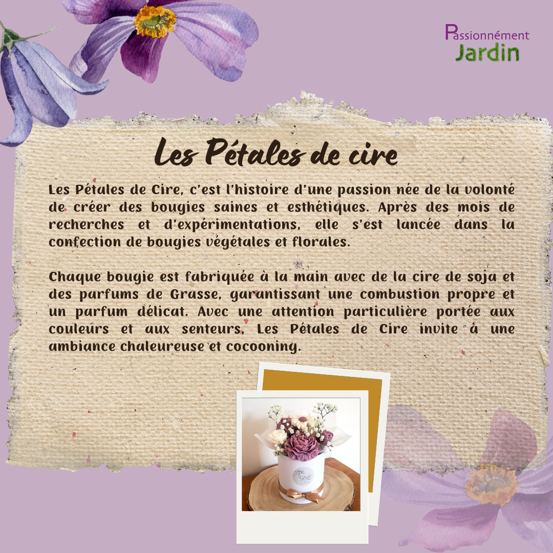Les-petales-de-cire