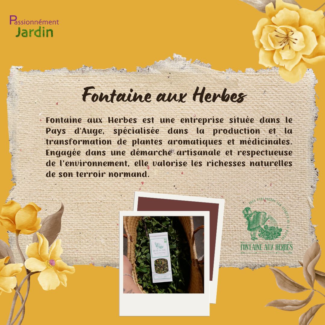 Fontaine-aux-Herbes