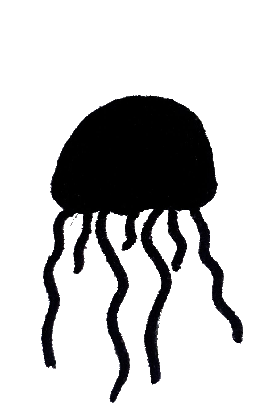 Meduse
