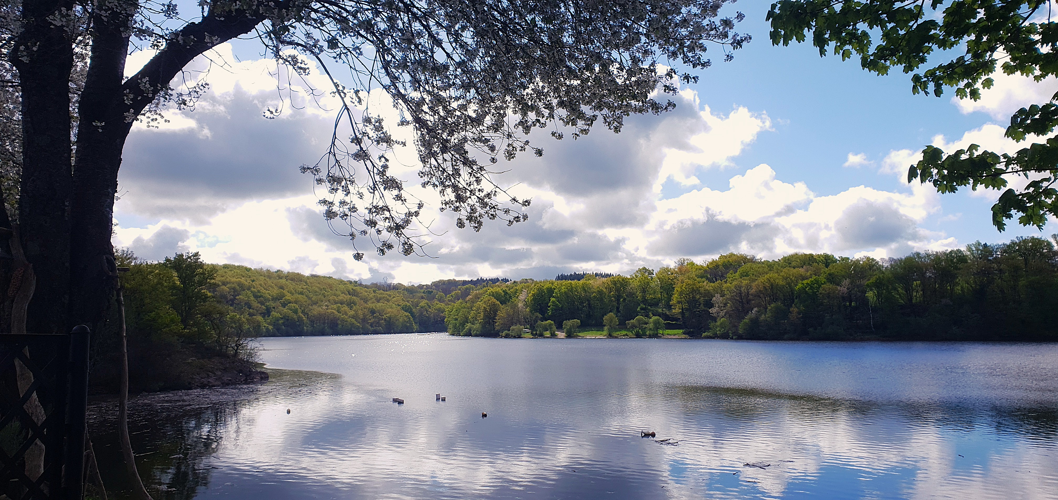Vu lac plage