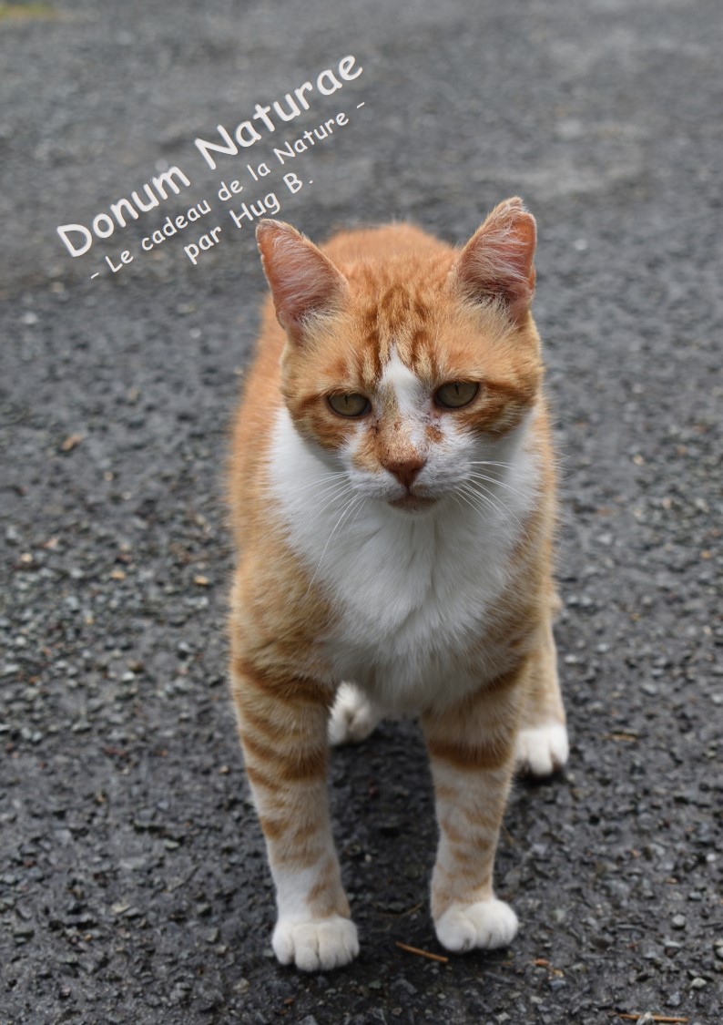 Image17
