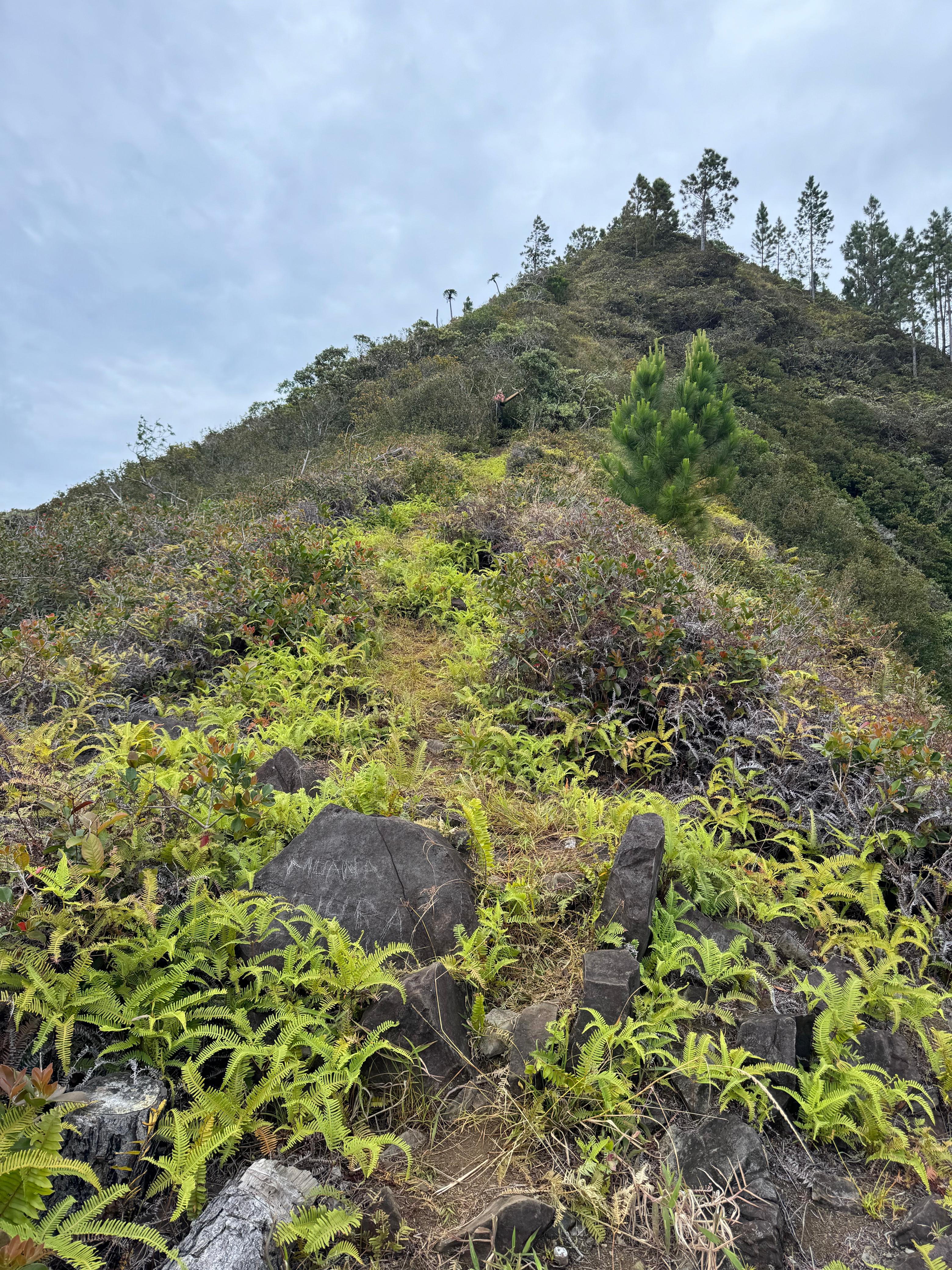 Img 20250414 wa0020