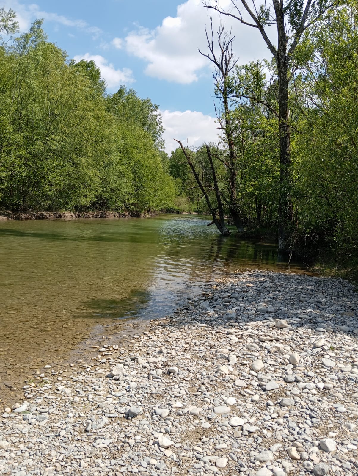 IMG-20250424-WA0004