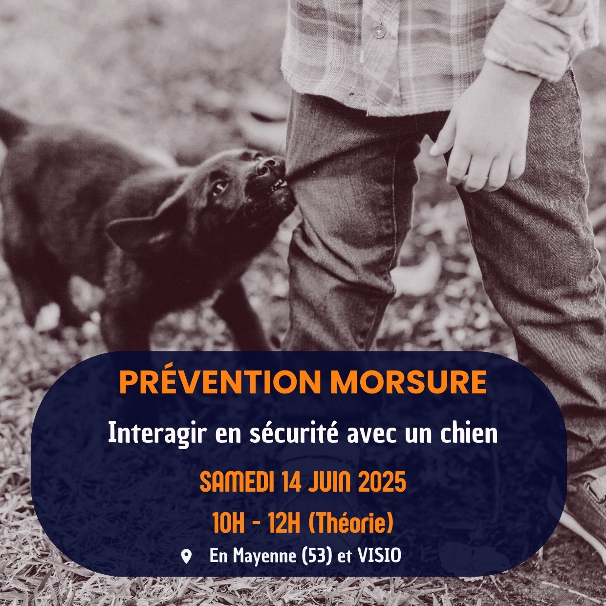 Prevention morsure
