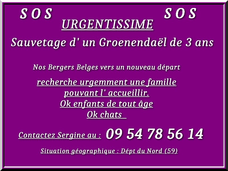 Fheytan-Groend-en-urgence-Dept-59-24-avril-25