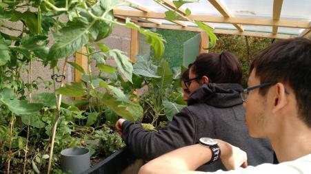 Img-photo-3-aquaponie-e1298075-e1303418