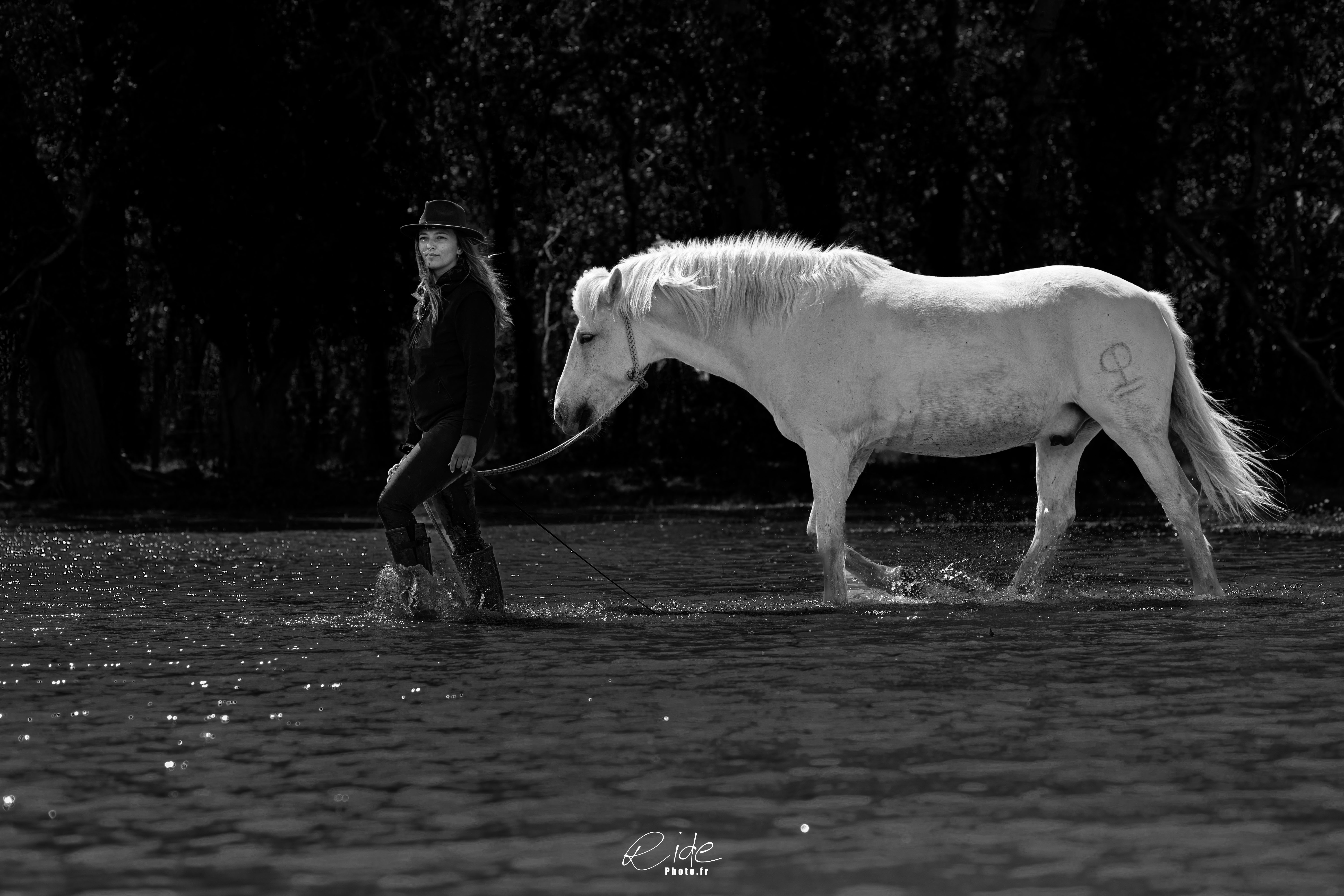 Jipi1379 cavaliere a pieds dans l eau cr nb 2
