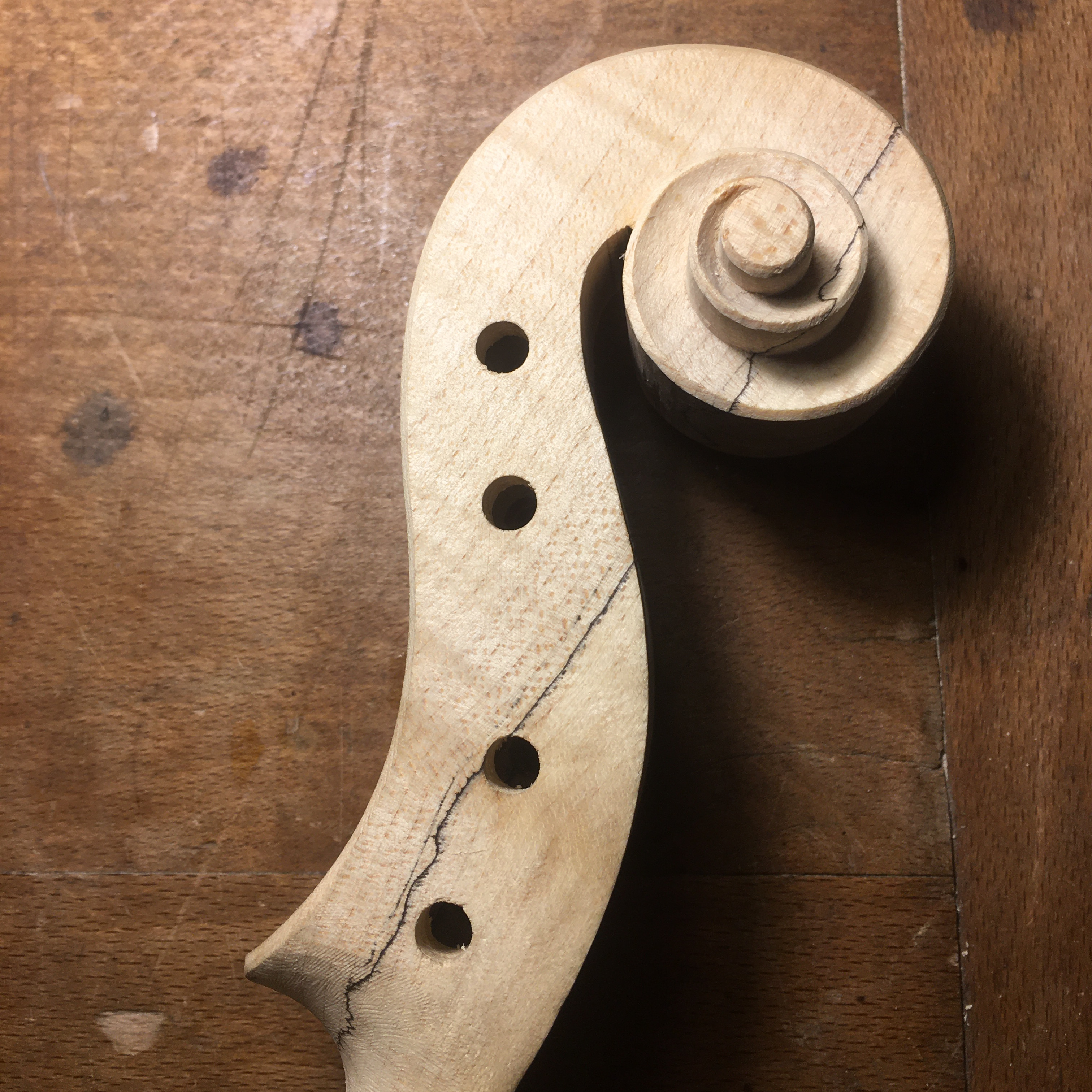 amandine-hervouet-lutherie-carre-alto-2