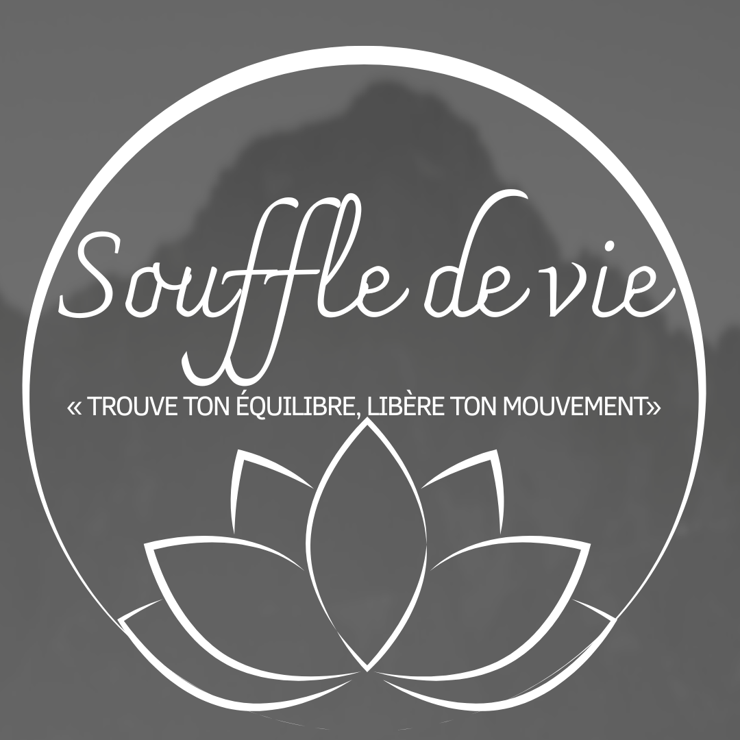 -Yin-Vinyasa-restauratif-un-yoga-pour-tous-guide-par-le-souffle-8-