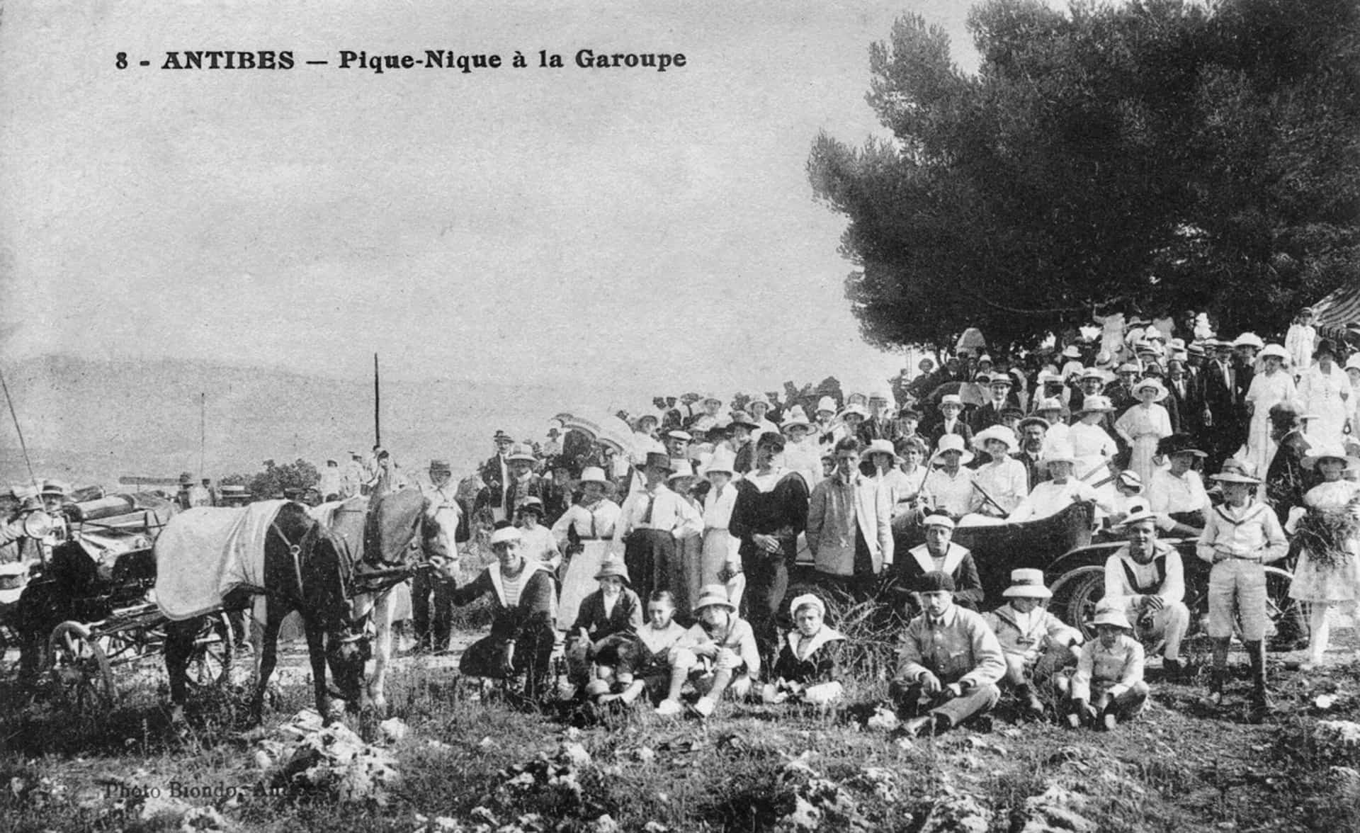 -Garoupe-Pique-nique compress