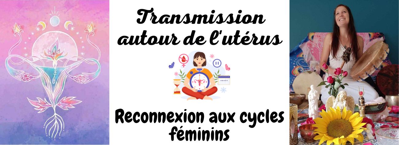Image-transmission-uterus