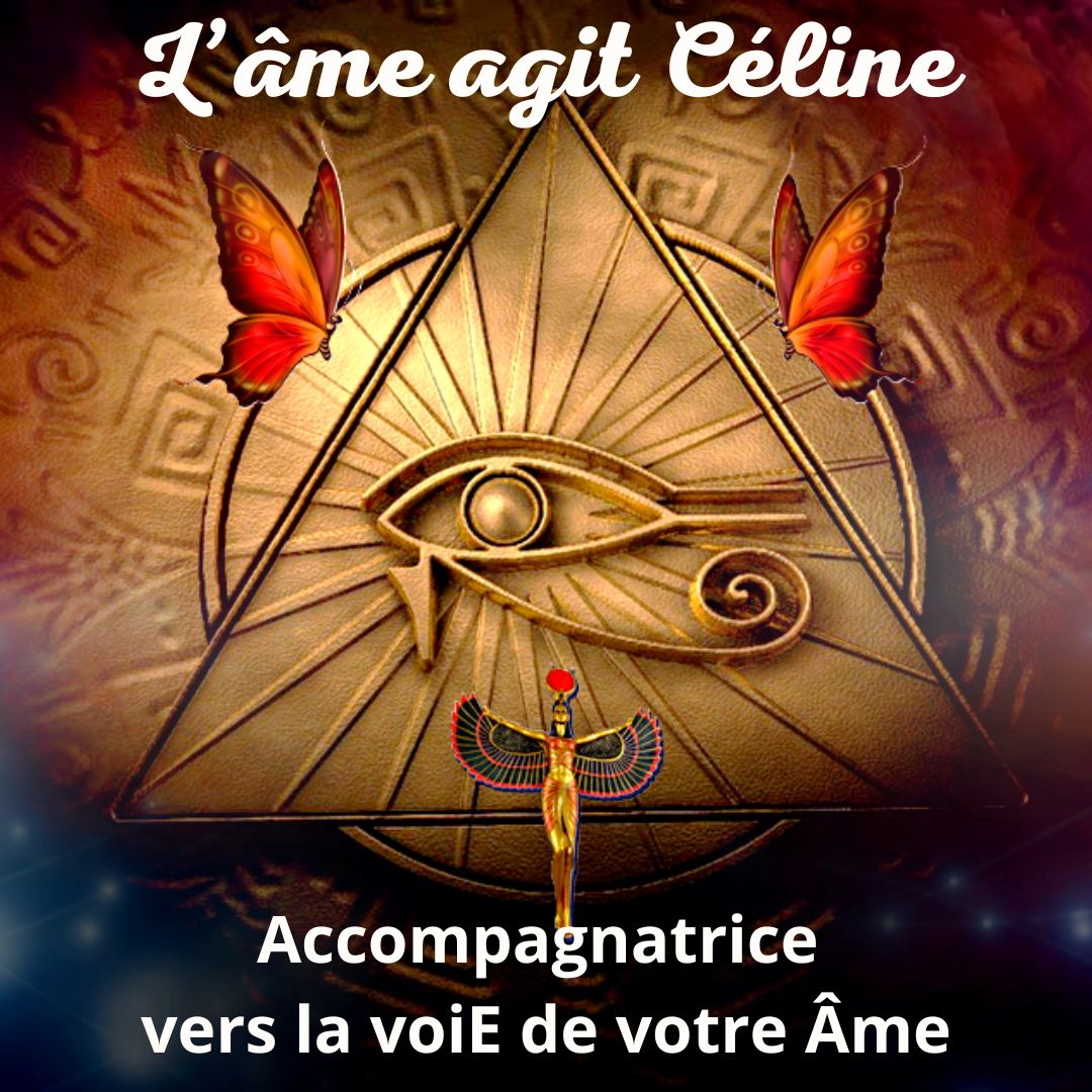 Ma-cherie-22-