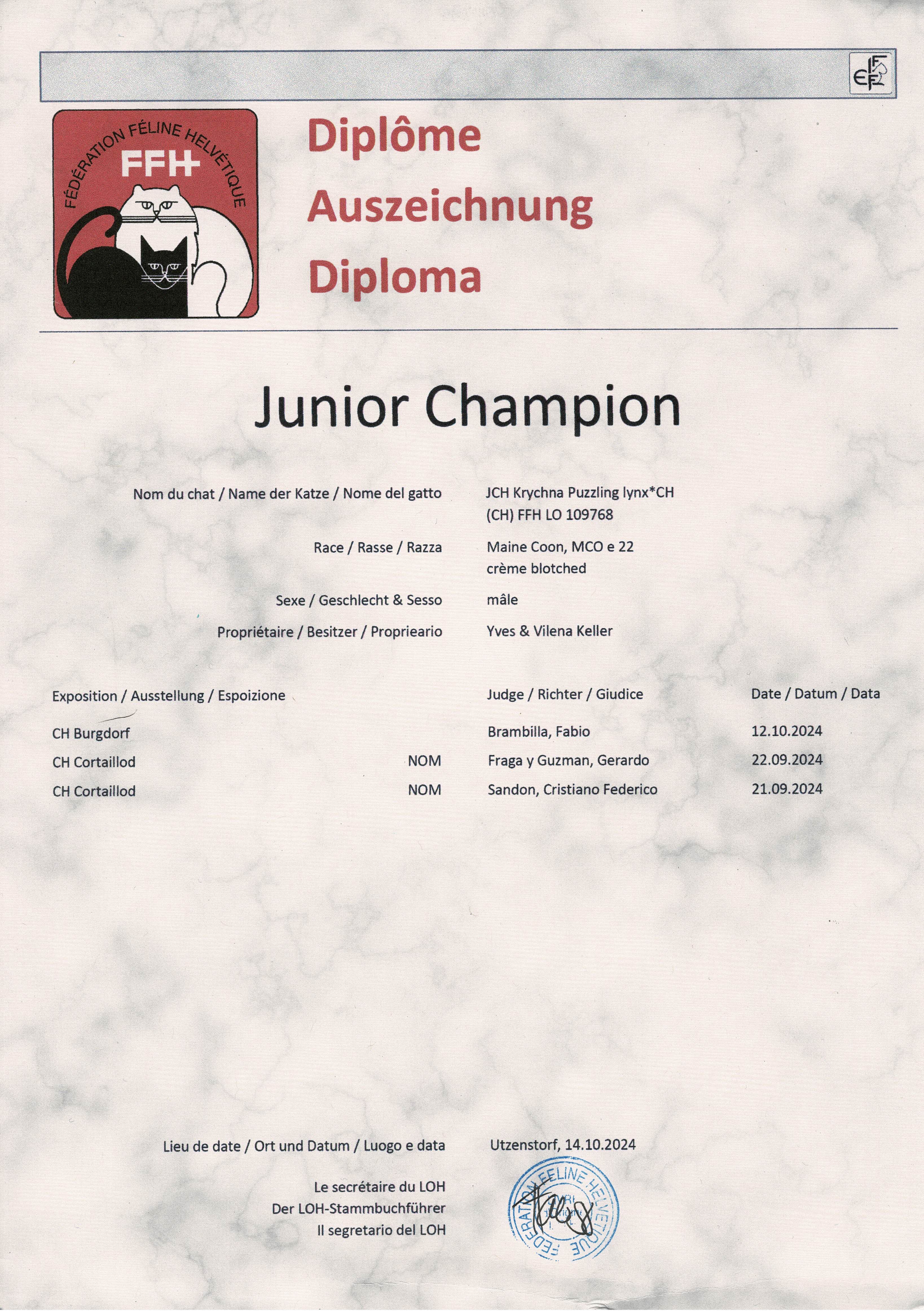 Diplome-Champion-Junior-1