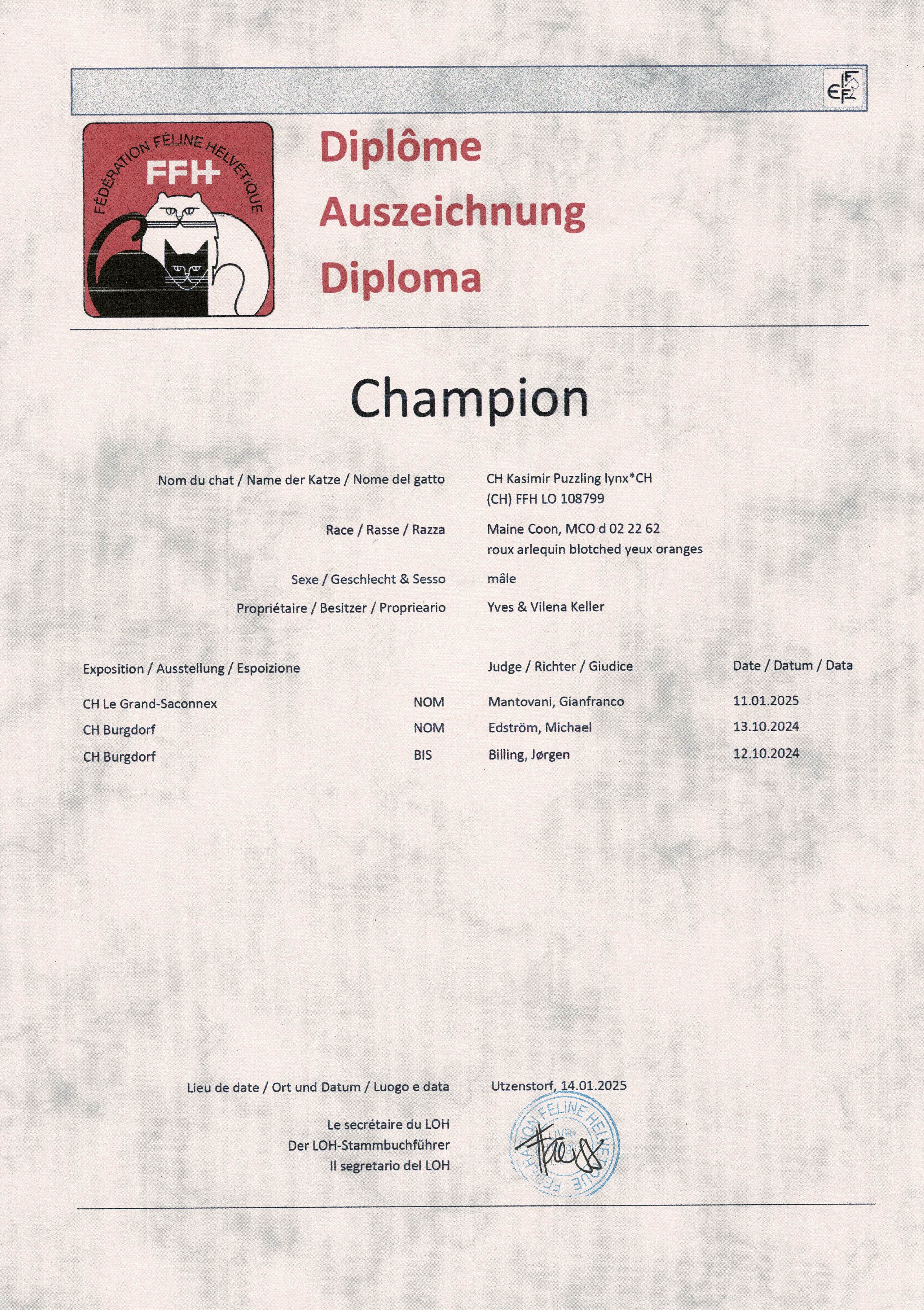 Diplome-Champion1