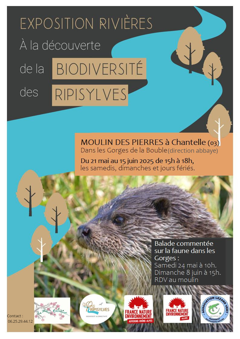 Affiches expo les ripisylves 2025