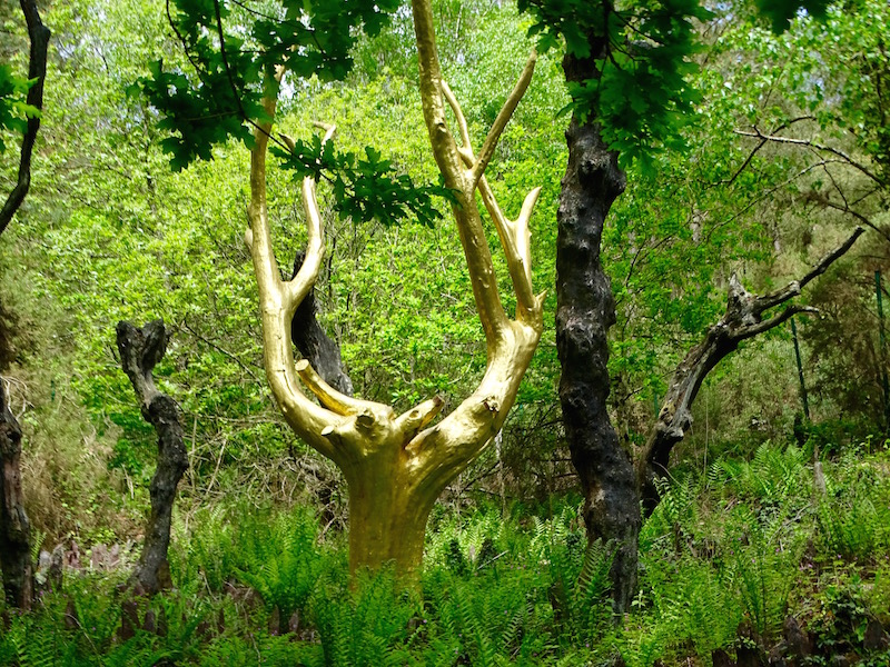  playingtheworld week end bretagne broceliande menhirs monteneuf 