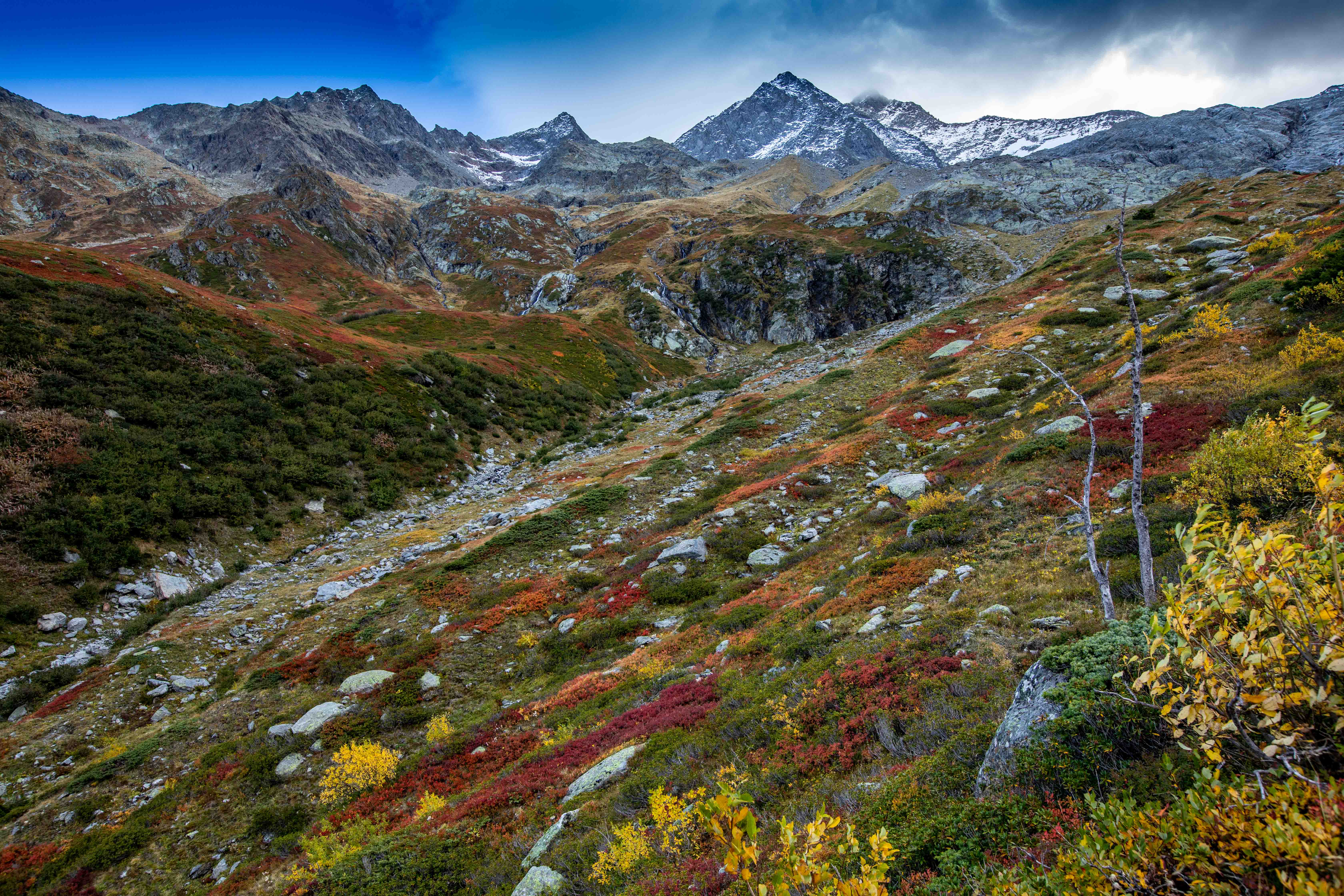 Palette d automne