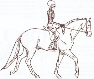 Posture