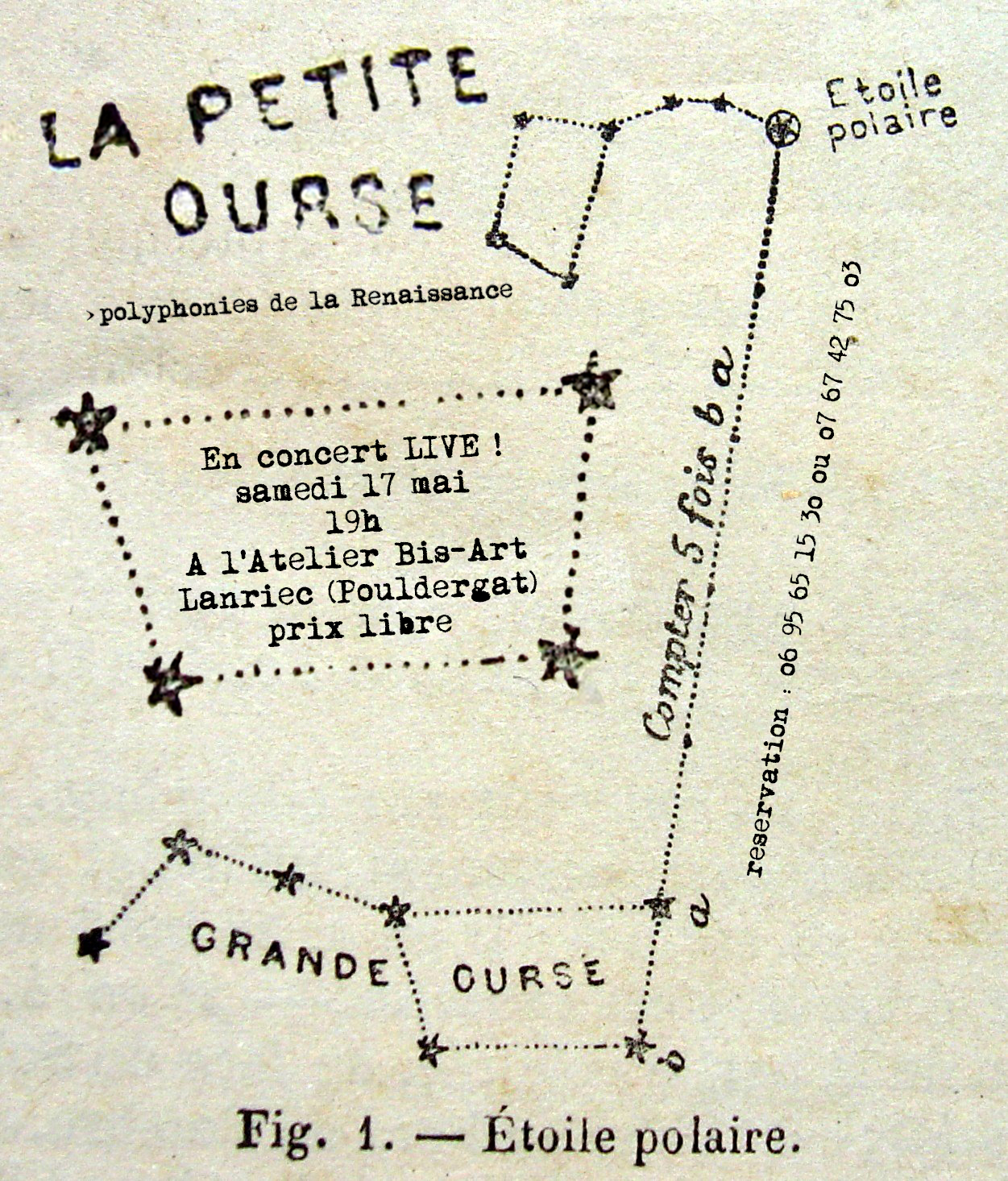 Affiche-La-Petite-Ourse 2flat