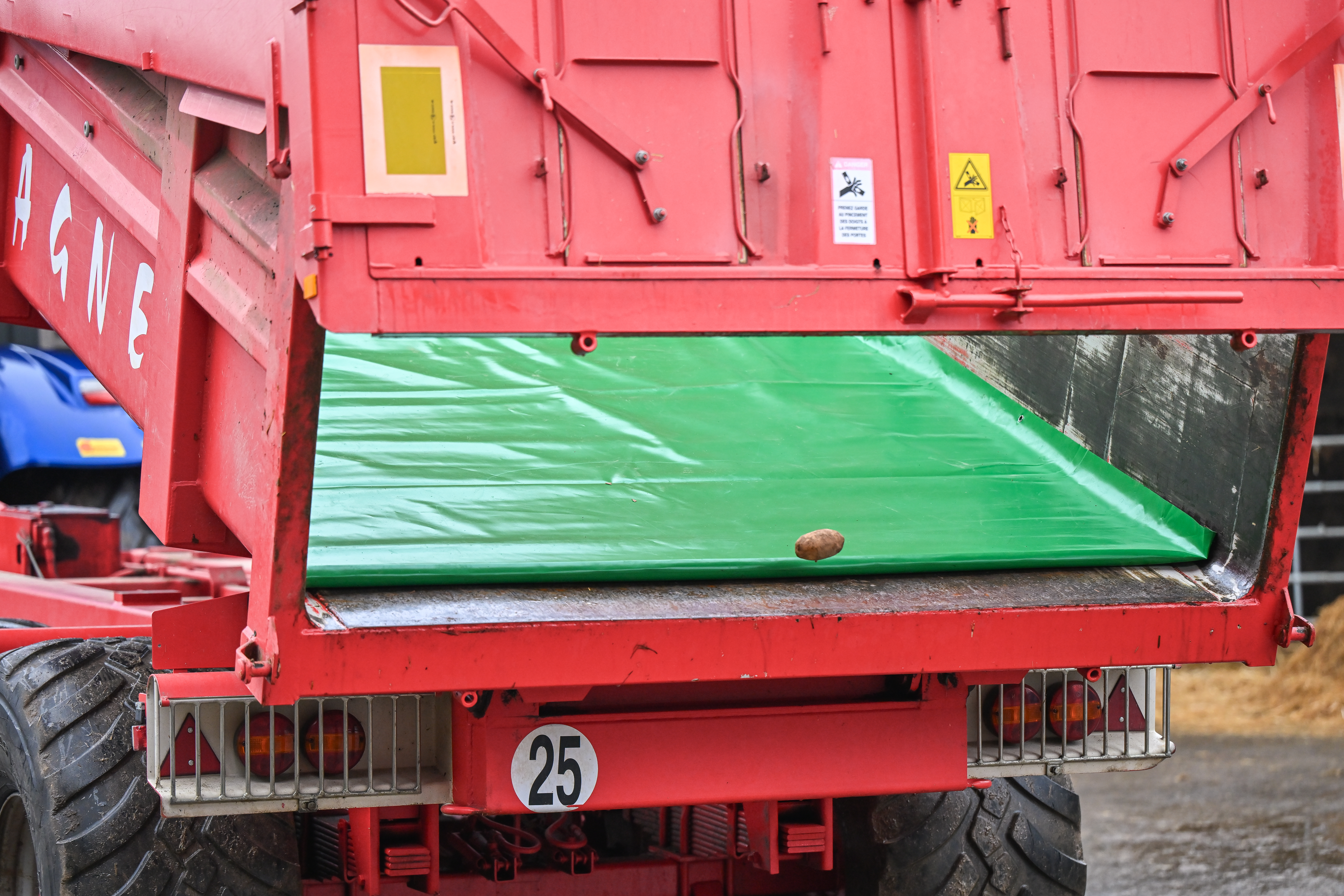 Bache maxcor37