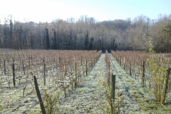 -600-x-400-px-page-nos-vins-millesime-2014
