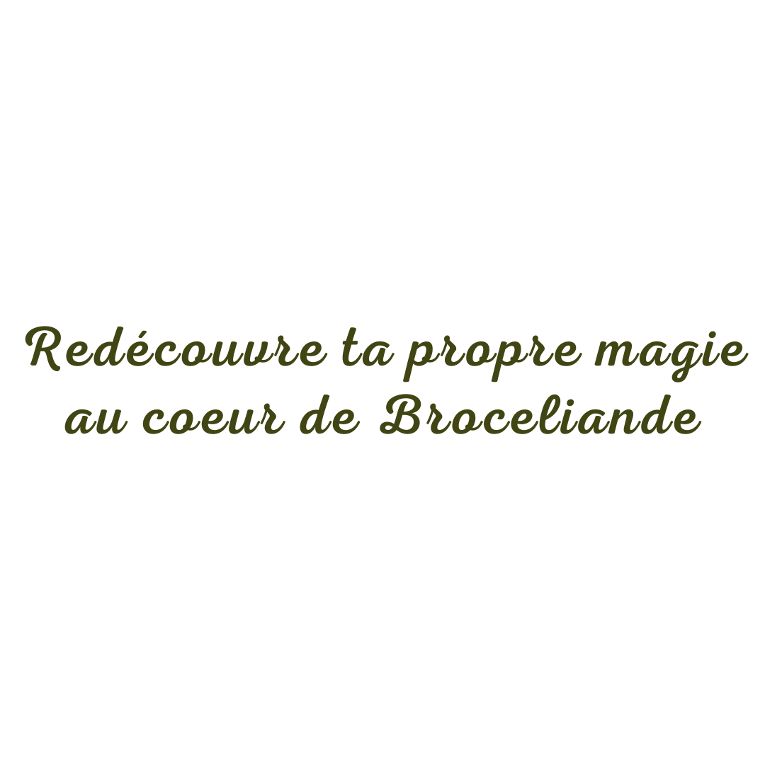 Stage-broceliande-4-