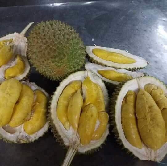 Sau-rieng-interne