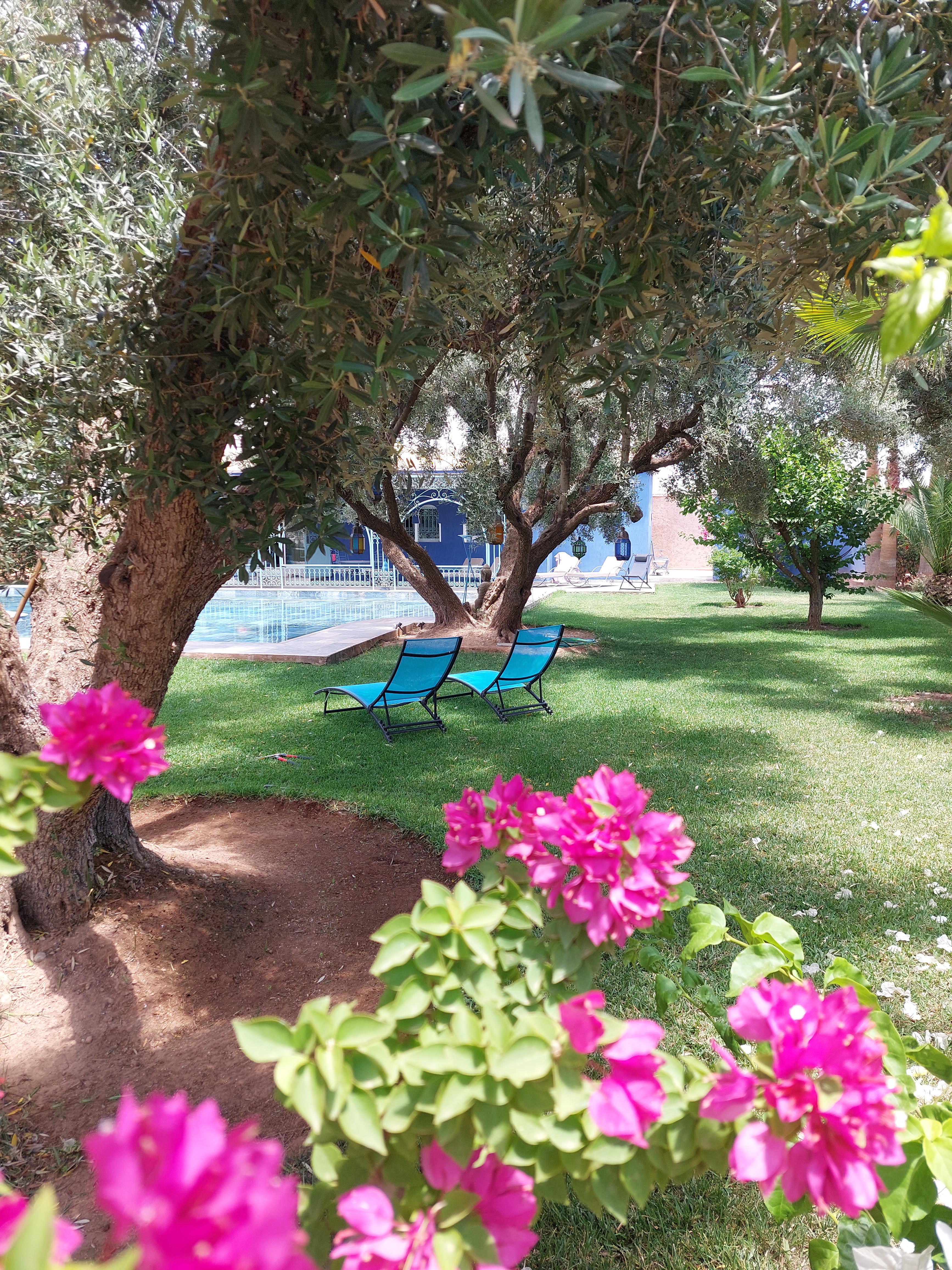 Piscine 6