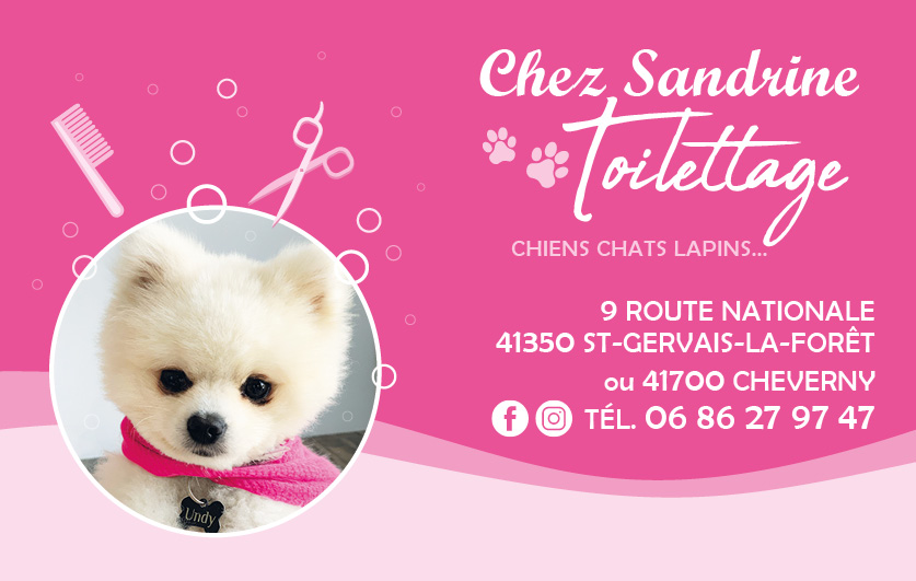 Carte-visite-recto-chez-sandrine-toilettage-pour-pour-site-web