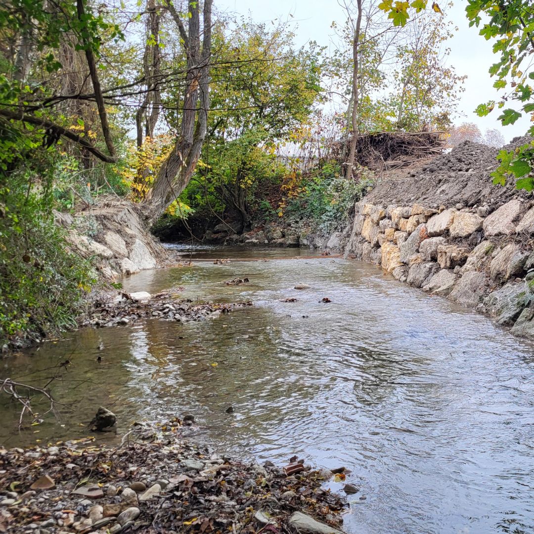 Ecomorphologie Foron km 0 4-5