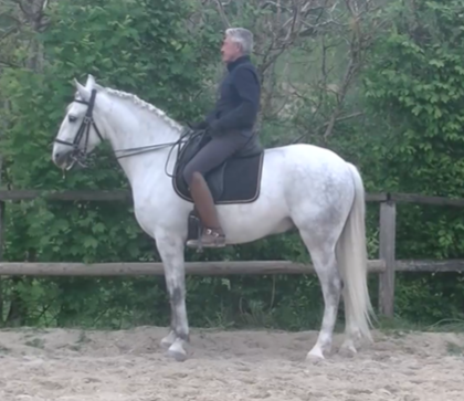 Capture-d-ecran-2025-05-13-191800