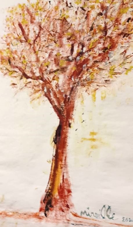 Capture-arbre