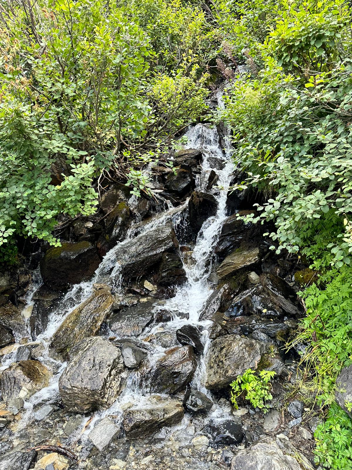IMG-20240802-WA0053