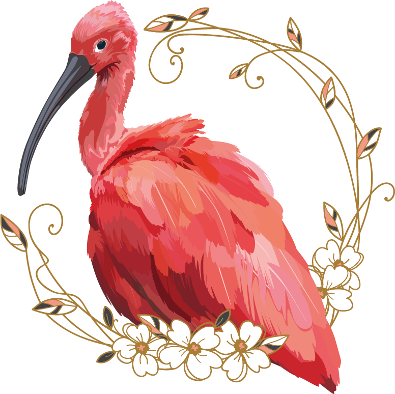 Les-ibis-d-Argeles