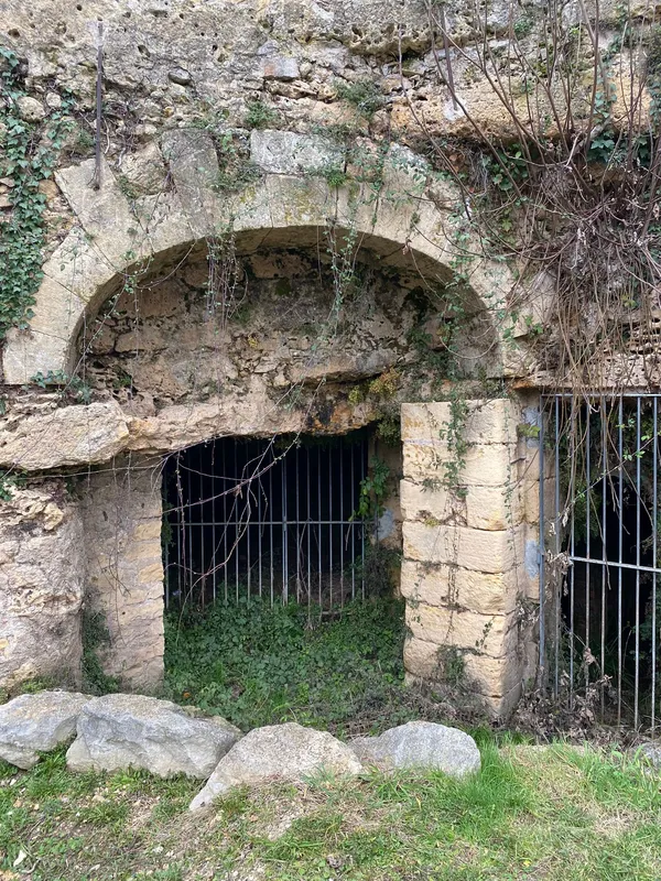 600 sc 1678700100155