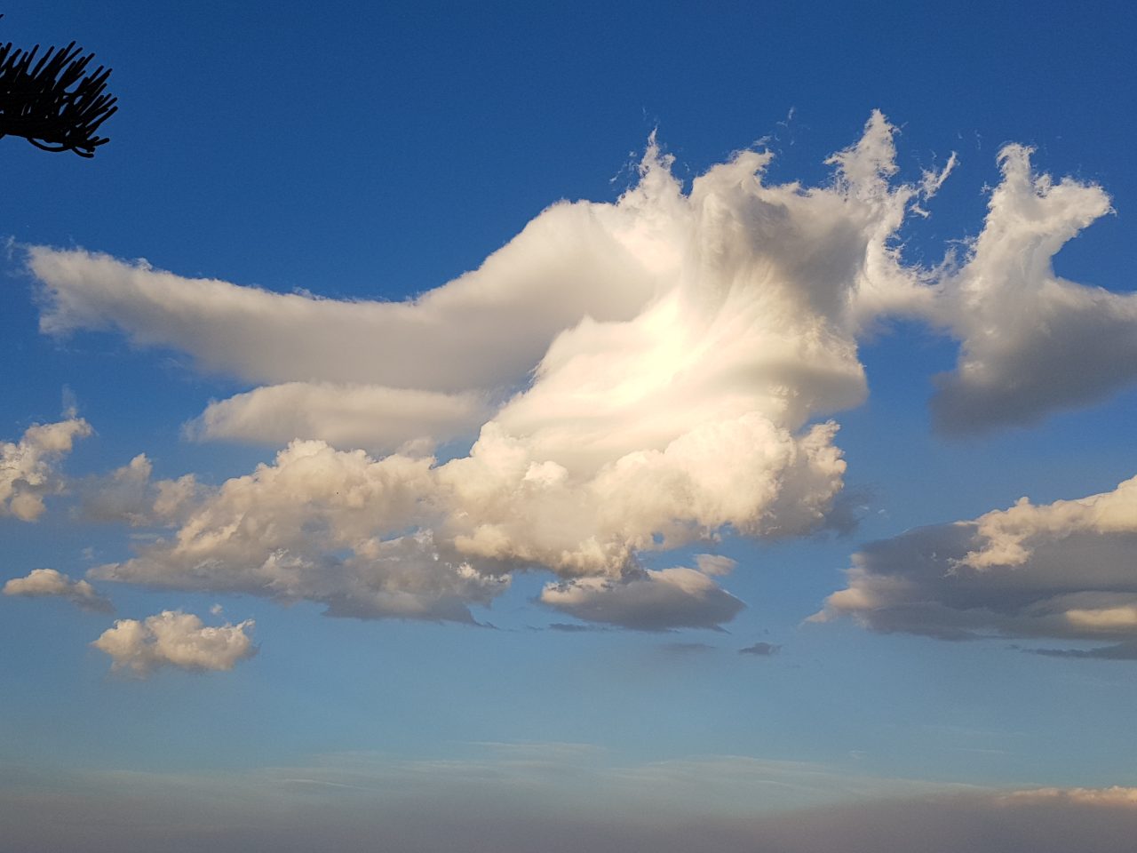 Image-3