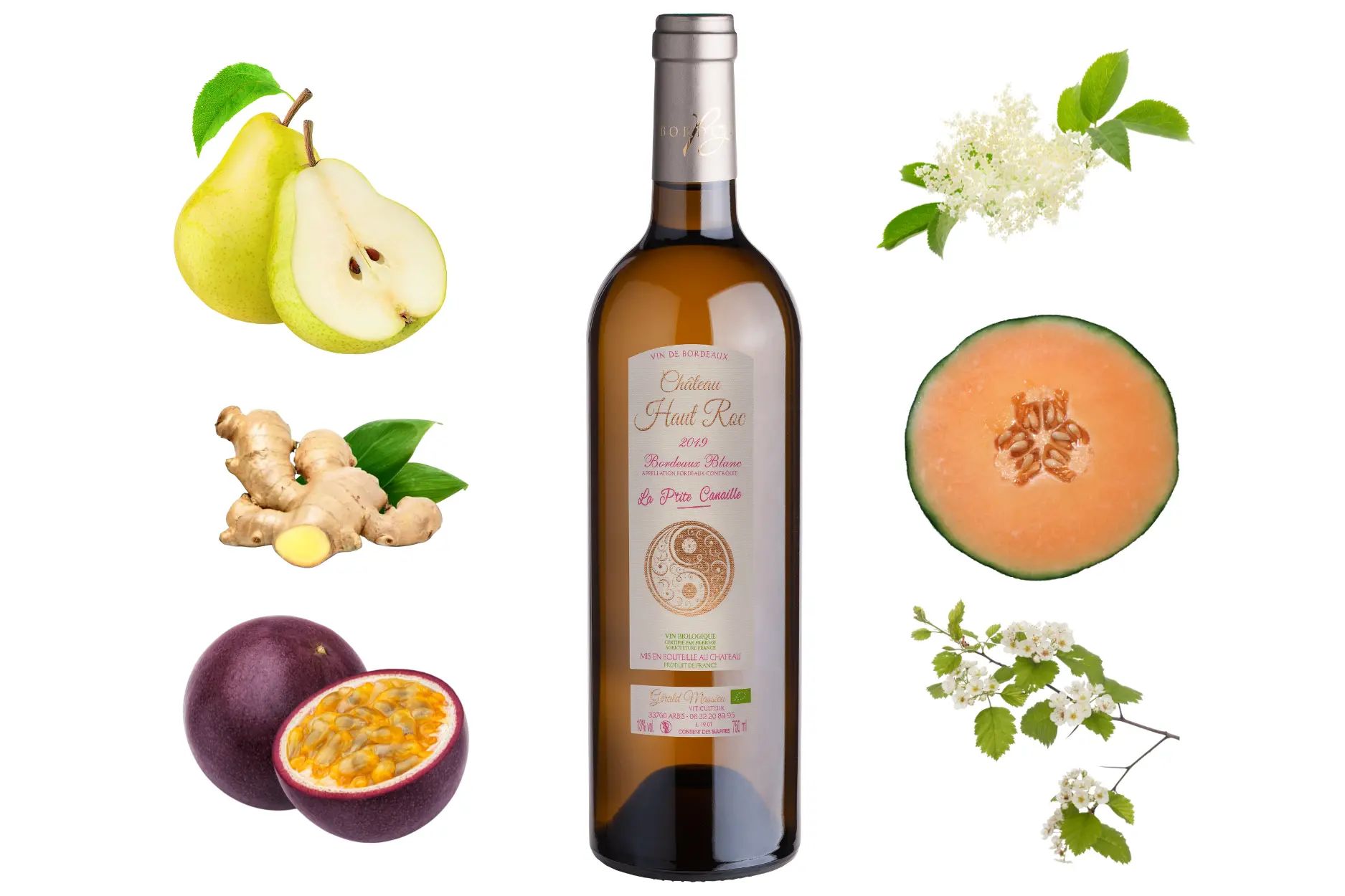 La P’tite Canaille : Un vin blanc sec Bio pur et complexe