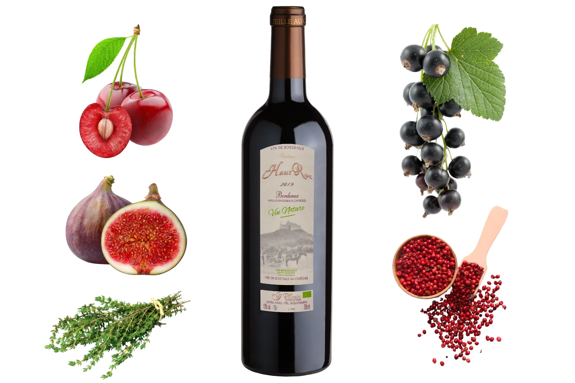 Vin-nature-aromes-bordeaux-bio
