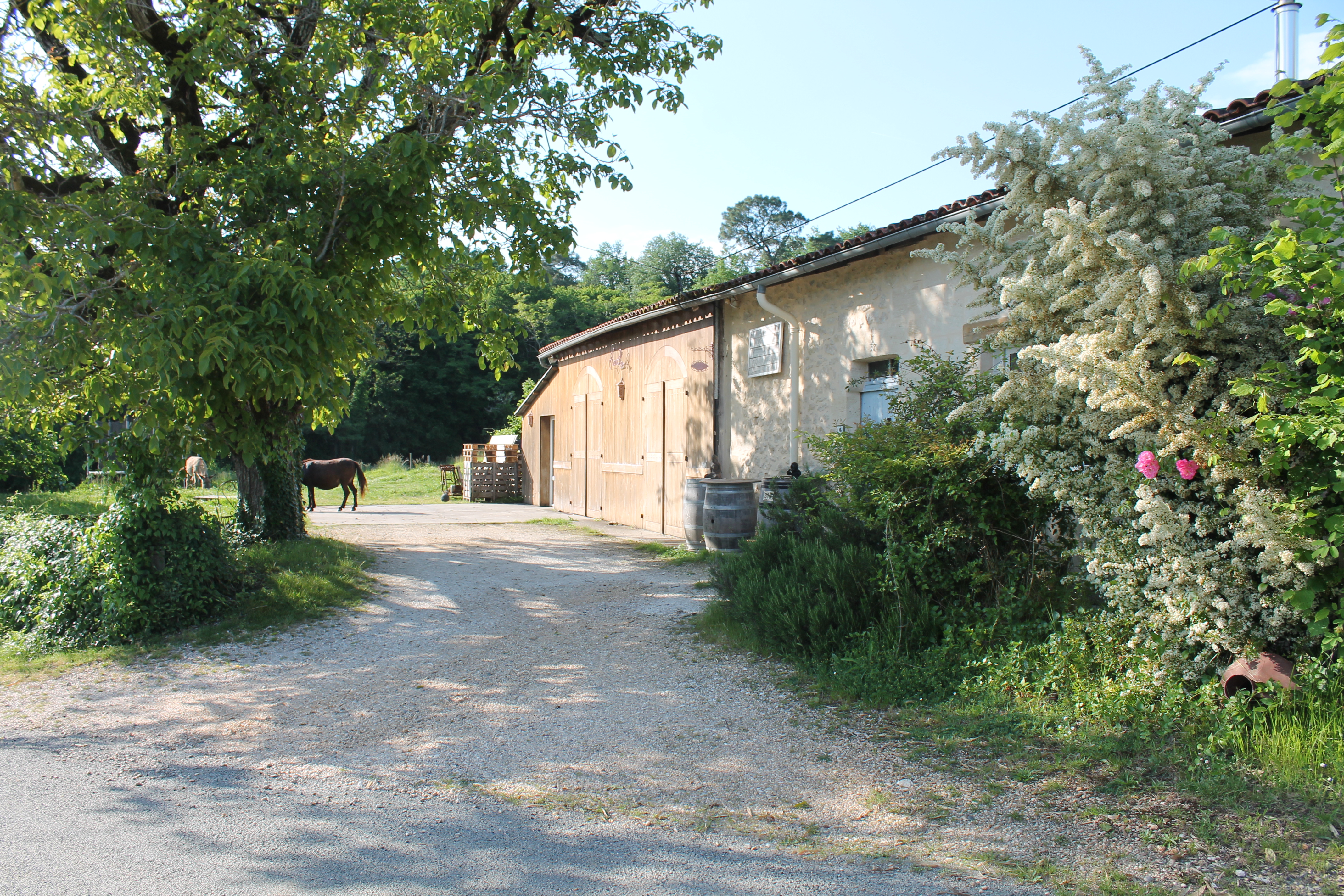 Bienvenue au Château Haut Roc