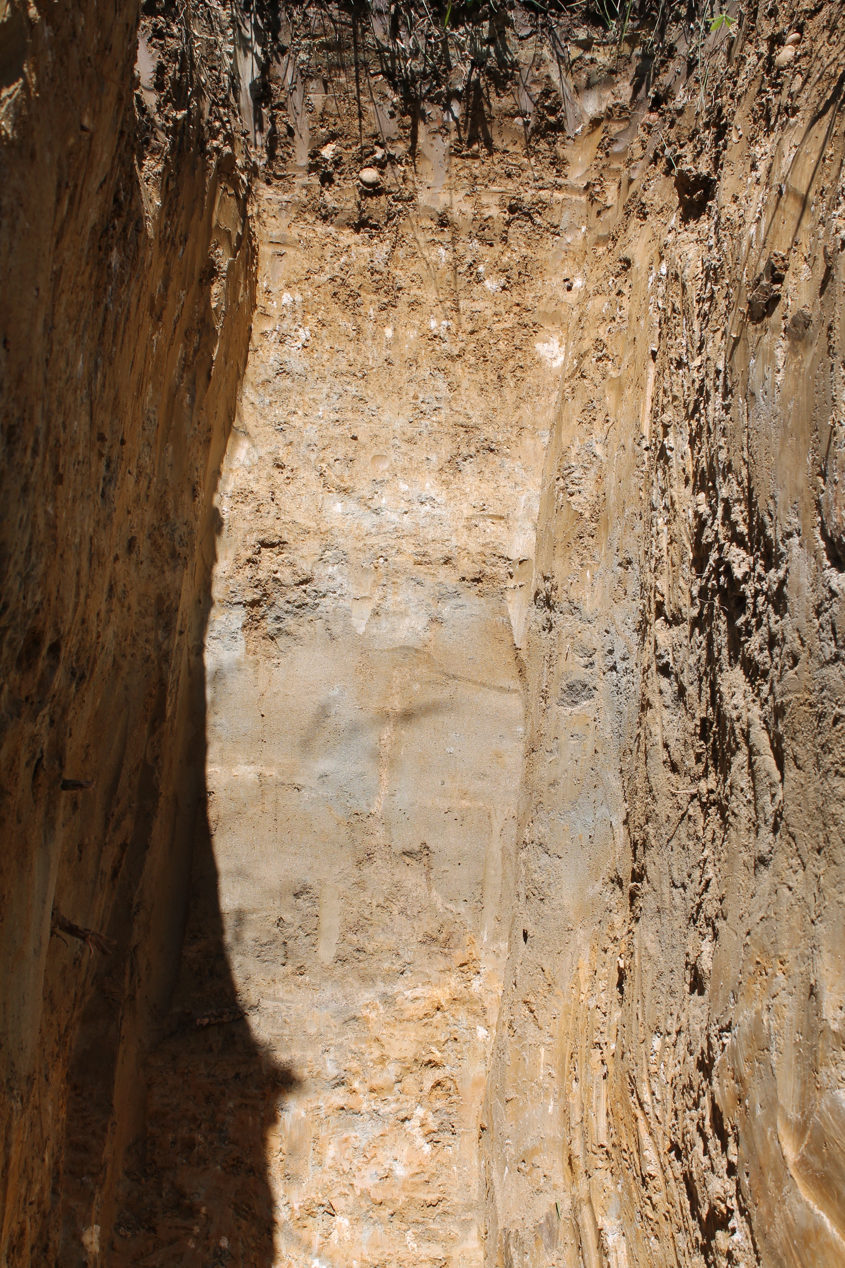 Profil-geologique-grand-vin-bordeaux-haut-roc