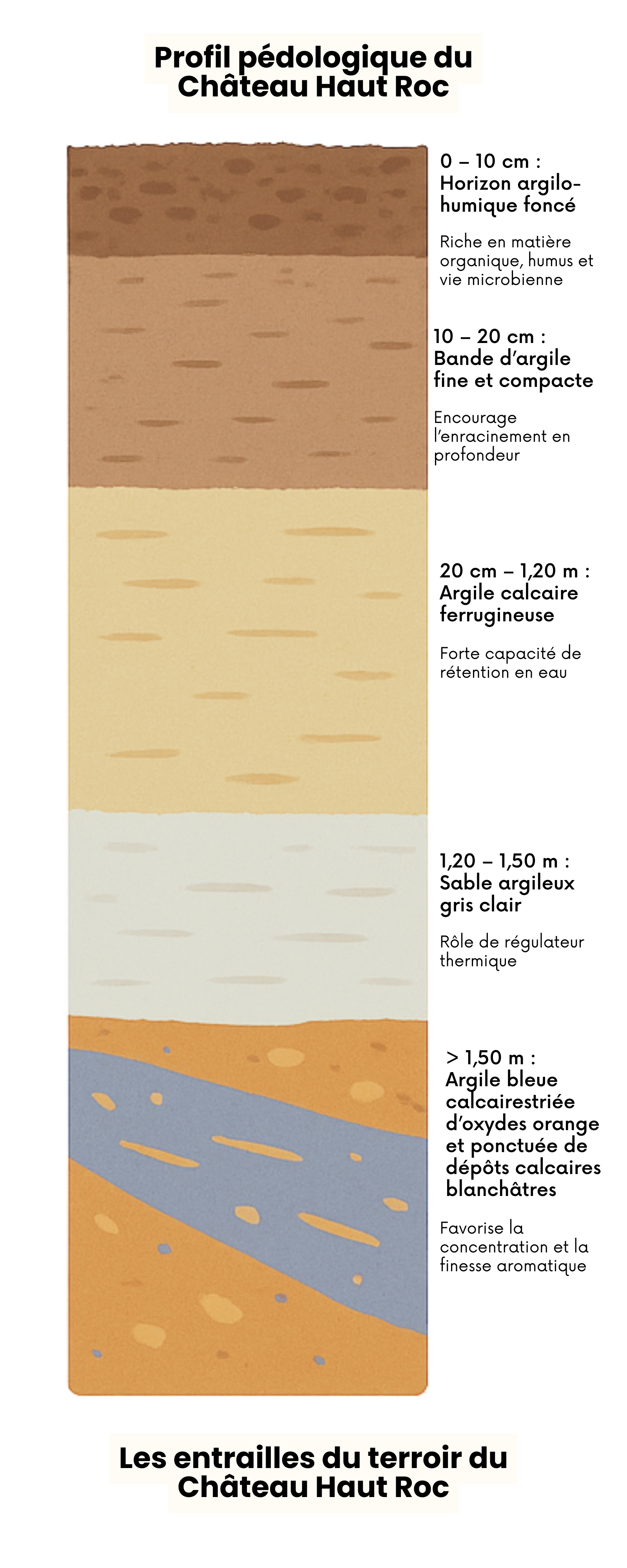 Infographie-terroir-haut-roc