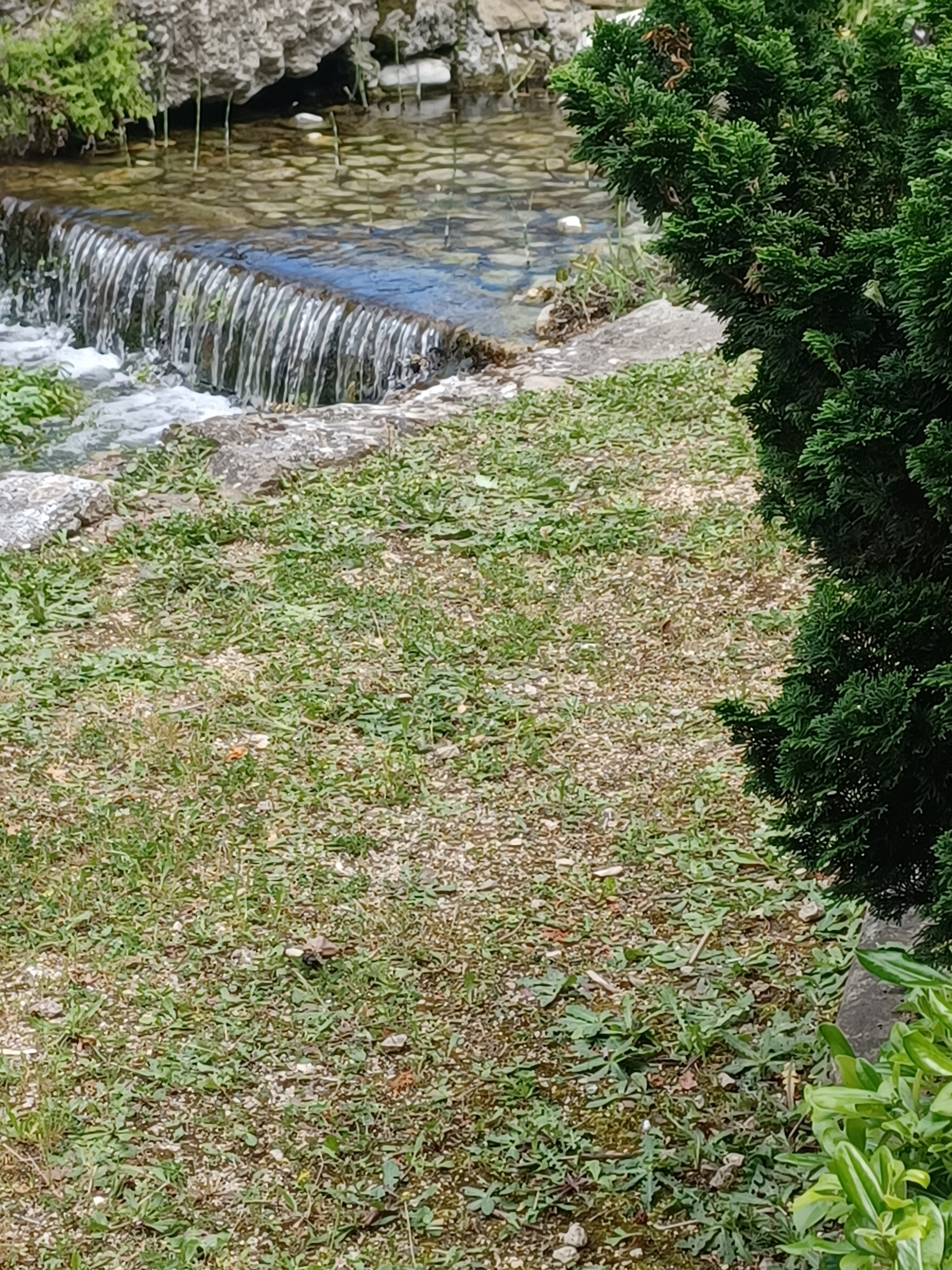 Photo-gymnase-cascade-2