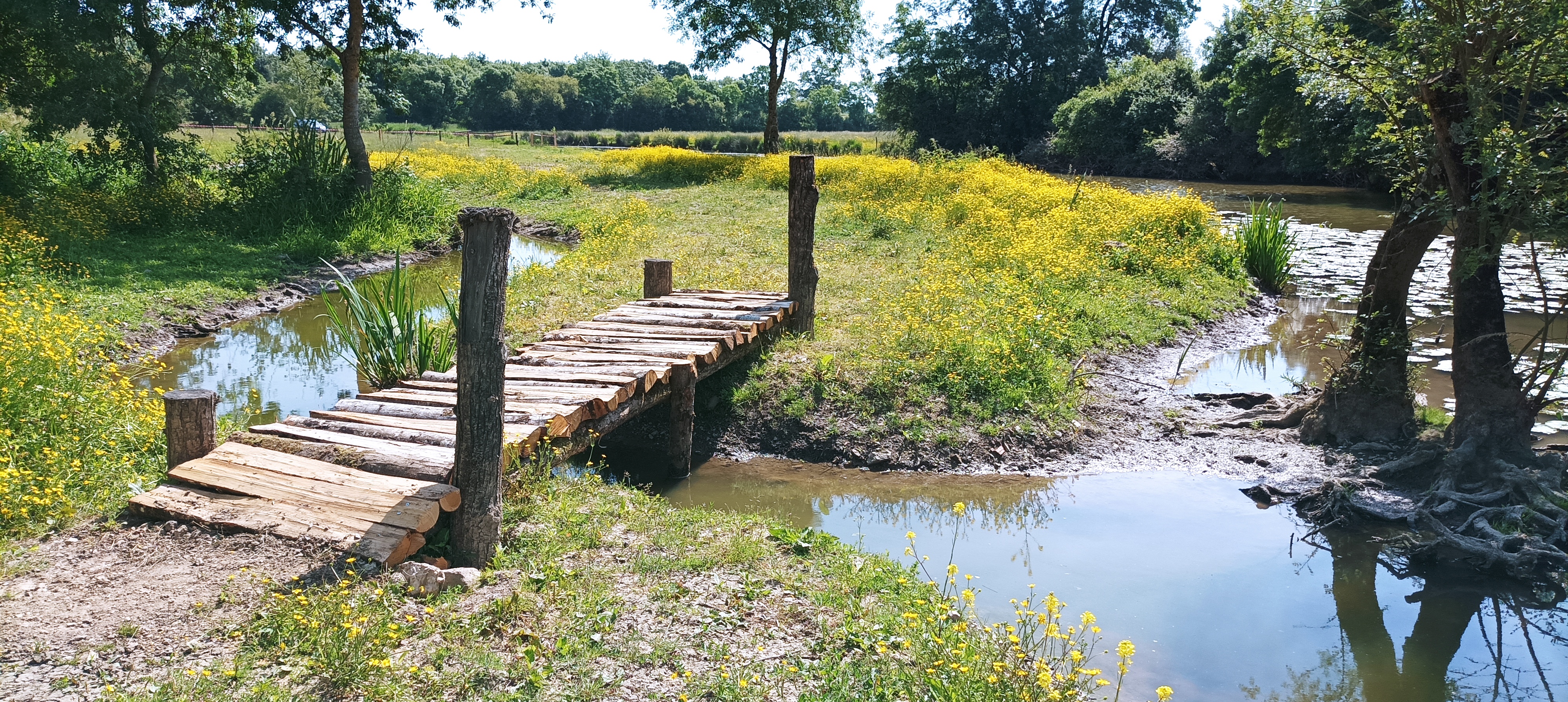 Passerelle frayere1