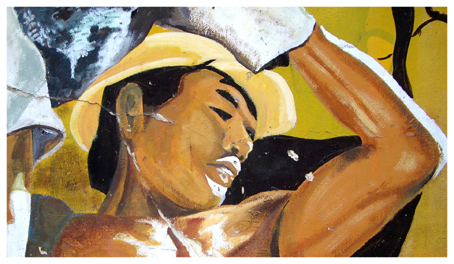 8 affiche murale detail duong hoa binh