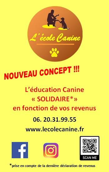 Nouveau-concept