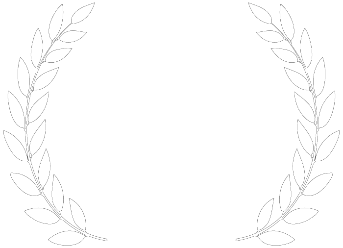 Festival du film