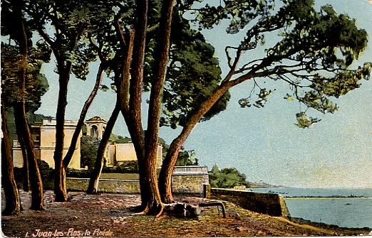 Pinede-La-Pinede3