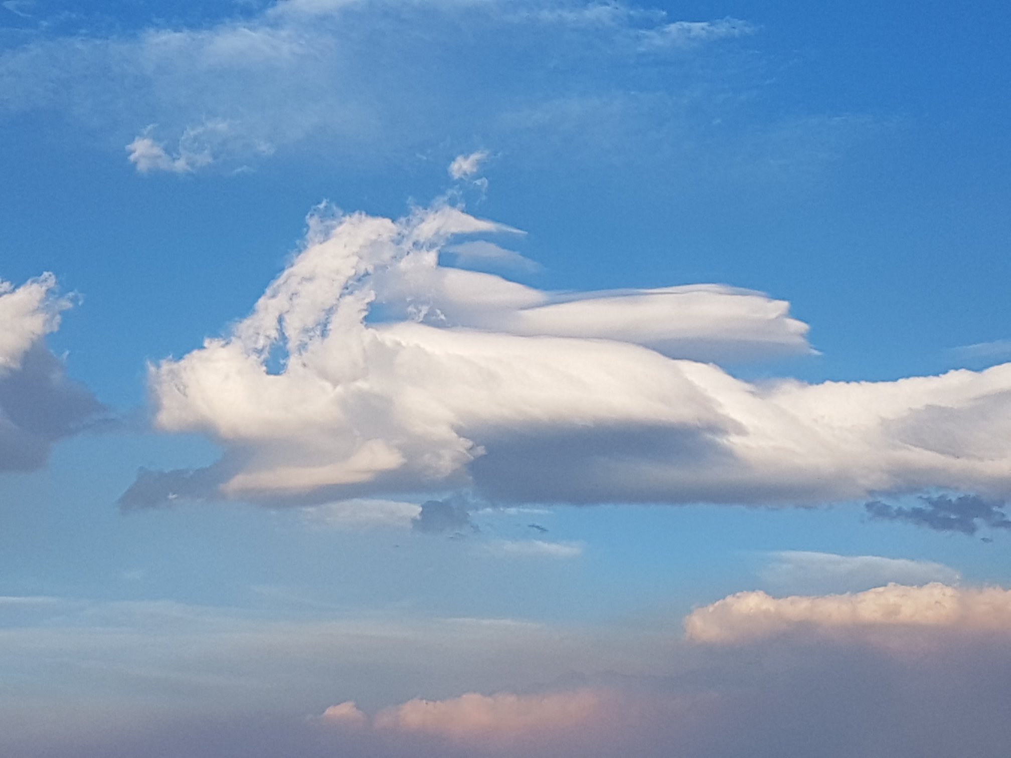 Nuage-cochon